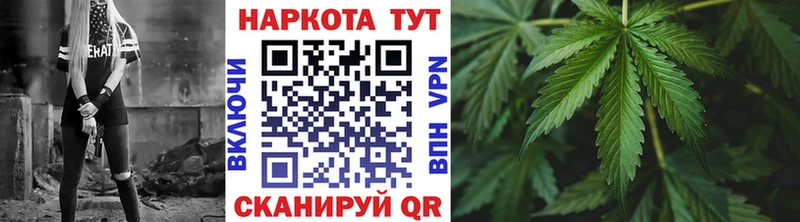 Галлюциногенные грибы Жуковка